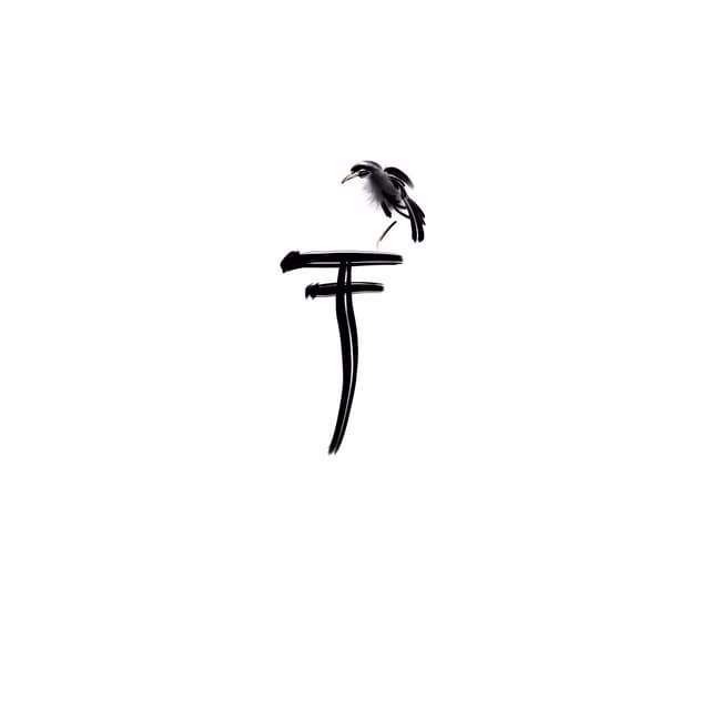 chinese calligraphy